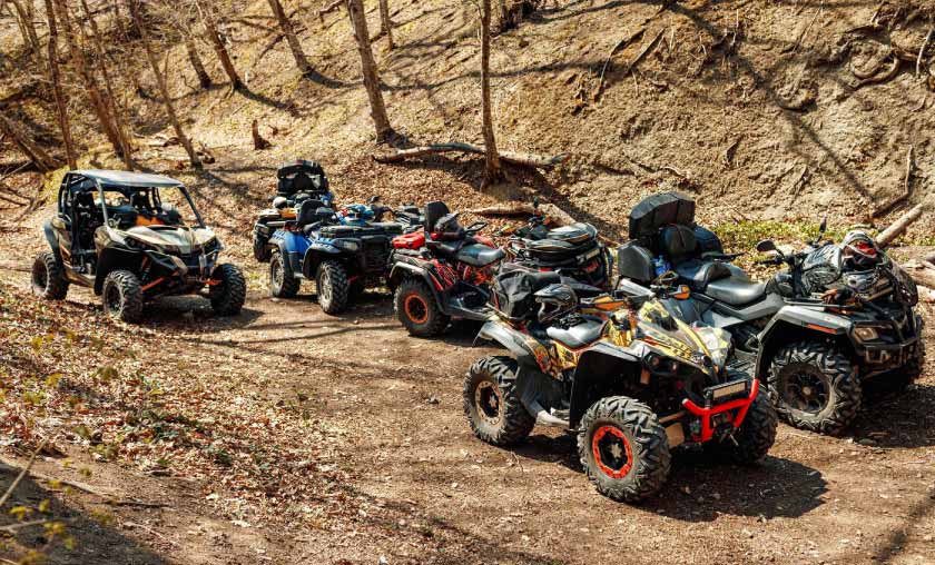 Off-road vehicles parked on forest trail.